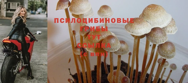 марки lsd Алексеевка