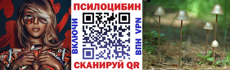Галлюциногенные грибы прущие грибы  Андреаполь 